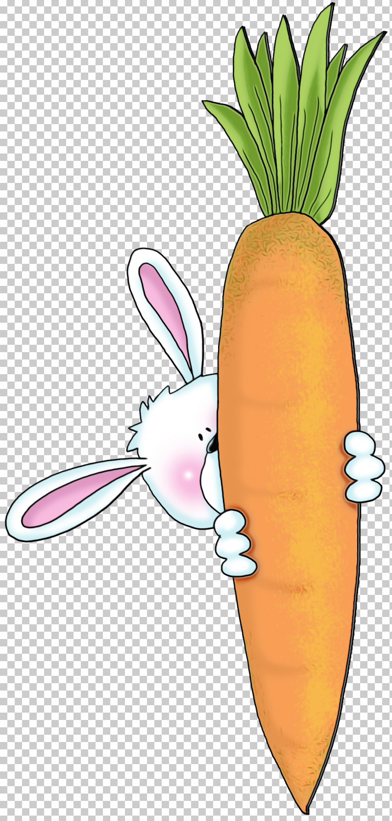 Carrot Radish Root Vegetable Vegetable Daikon PNG, Clipart, Baby Carrot, Carrot, Cartoon, Daikon, Food Free PNG Download