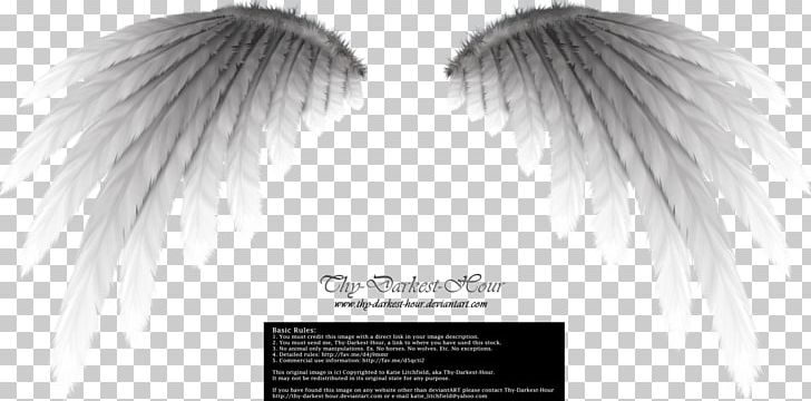 Angel Wing PNG, Clipart, Angel, Angel Border, Black And White, Color, Desktop Wallpaper Free PNG Download