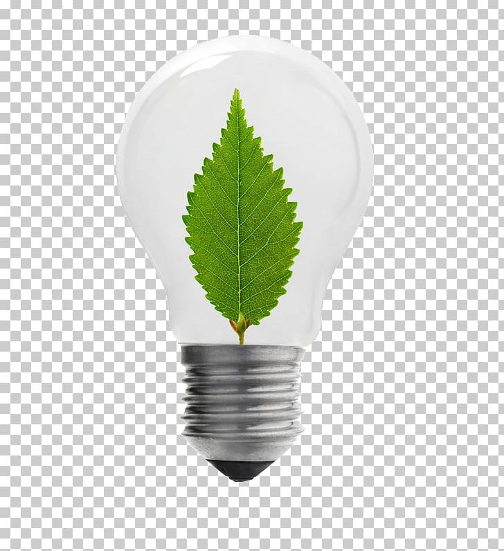 Incandescent Light Bulb Energy Conservation PNG, Clipart, Bulb, Christmas Lights, Daylighting, Electric Light, Energiequelle Free PNG Download