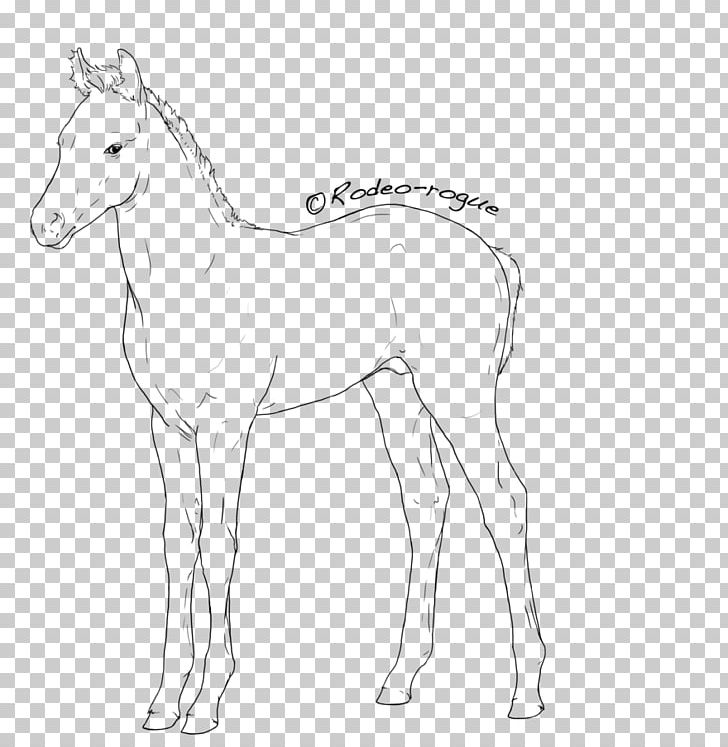 Mane Foal Mustang Colt Stallion PNG, Clipart, Anima, Artwork, Black And White, Bridle, Colt Free PNG Download