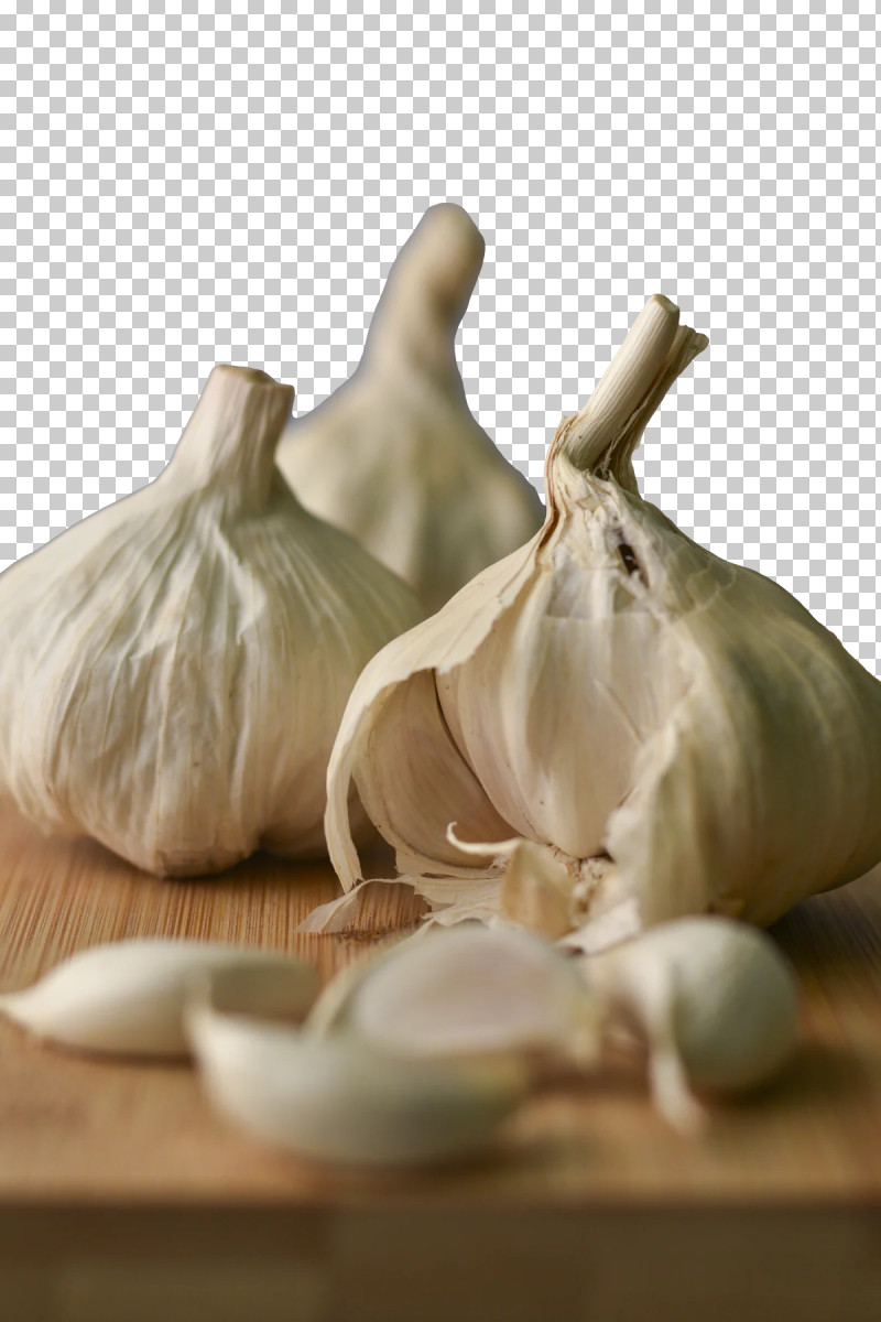 Elephant Garlic Still Life Photography Garlic Plants Still Life PNG, Clipart, Biology, Elephant Garlic, Garlic, New Yorks 3rd Congressional District, Plants Free PNG Download