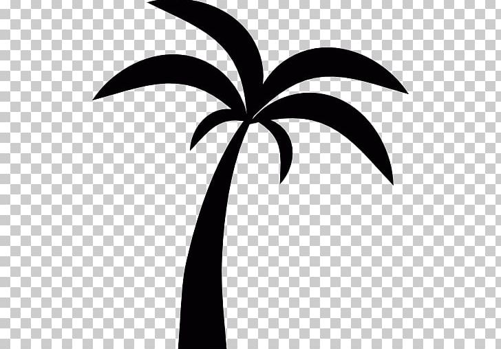 Arecaceae Tree Computer Icons PNG, Clipart, Arecaceae, Arecales, Black And White, Branch, Clip Art Free PNG Download
