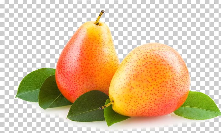 Asian Pear European Pear Perry Fruit Tree PNG, Clipart, Accessory Fruit, Apple, Apple Fruit, Apricot, Citrus Free PNG Download