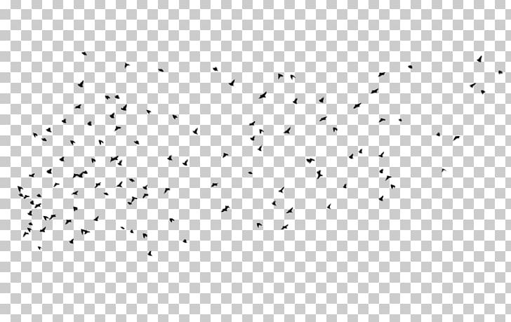 Bird Flock Editing PNG, Clipart, Animals, Bird, Bird Flock, Circle, Deviantart Free PNG Download