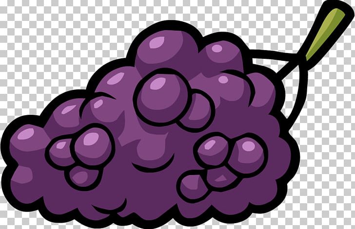 Club Penguin Smoothie Penguin Smash Grape Smash Penguin PNG, Clipart, Club Penguin, Club Penguin Entertainment Inc, Concord Grape, Flower, Flowering Plant Free PNG Download