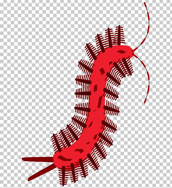 Computer Icons PNG, Clipart, Calendar, Centipede, Computer Icons, Family, Genus Free PNG Download