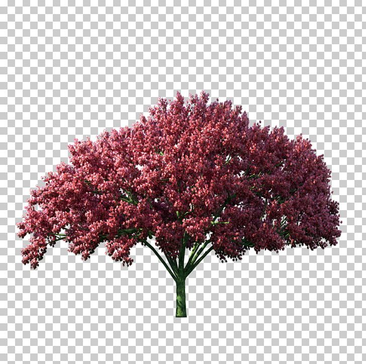 Tree Computer Graphics Computer Icons PNG, Clipart, Autumn, Computer Graphics, Computer Icons, Download, Encapsulated Postscript Free PNG Download