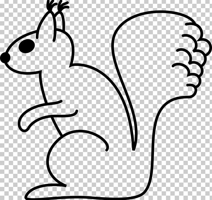 Wikiwand Tree Squirrel Line Art PNG, Clipart, Art, Artwork, Beak, Black, Black And White Free PNG Download