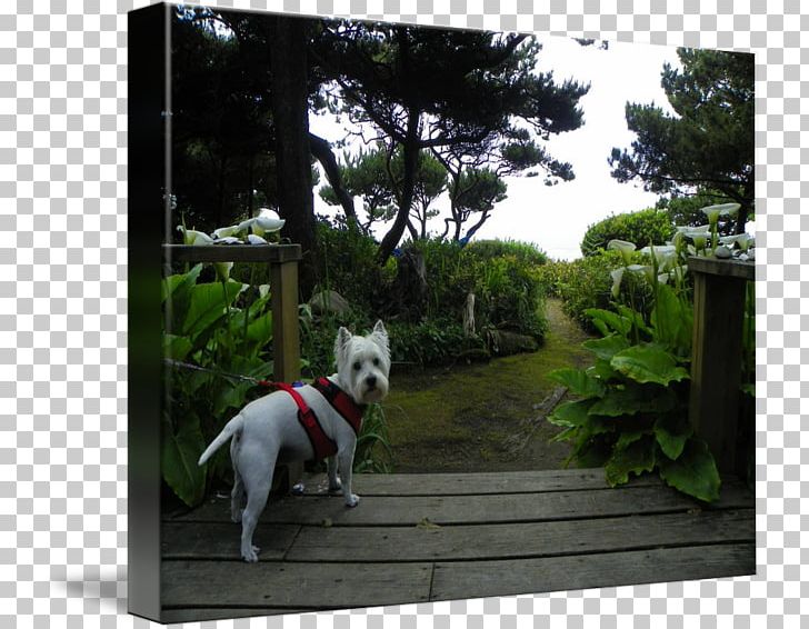 Dog Breed Landscape Meter PNG, Clipart, Animals, Breed, Dog, Dog Breed, Dog Like Mammal Free PNG Download