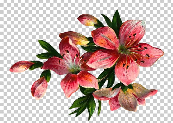 Flower PNG, Clipart, Alstroemeriaceae, Audio Video Interleave, Cut Flowers, Download, Encapsulated Postscript Free PNG Download