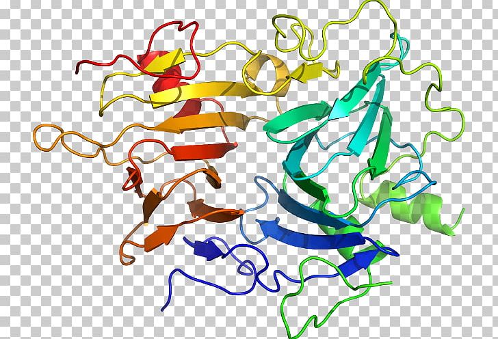 KLK6 Kallikrein Gene Protease Protein PNG, Clipart, Area, Art, Artwork, Aspergillus, Cancer Free PNG Download