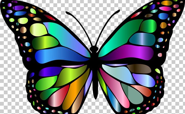 Monarch Butterfly Insect Coloring Book PNG, Clipart, Brush Footed Butterfly, Butterflies And Moths, Butterfly, Butterfly Net, Color Free PNG Download