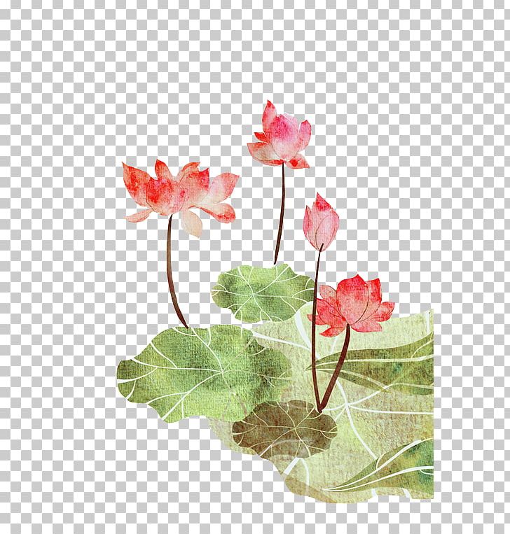 Nelumbo Nucifera Poster Illustration PNG, Clipart, Autumn Leaf, Cartoon, Flora, Floral Design, Floristry Free PNG Download