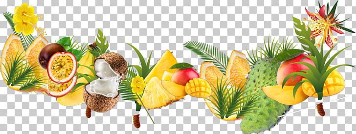 Tropical Fruit Tropical Rainforest Tropics PNG, Clipart, Canopy, Coconut, Floral Design, Flower, Food Free PNG Download