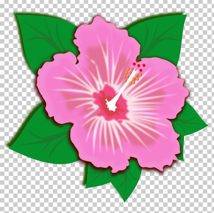 Hibiscus PNG, Clipart, Annual Plant, Desktop Wallpaper, Download, Drawing, Flower Free PNG Download