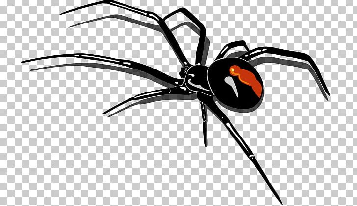 Redback Spider PNG, Clipart, Arthropod, Balloon Cartoon, Black, Black Widow, Boy Cartoon Free PNG Download