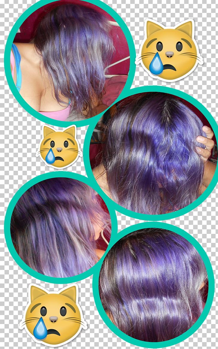 Violet Hair Coloring Dye PNG, Clipart, Blue, Color, Dye, Ear, Eye Color Free PNG Download