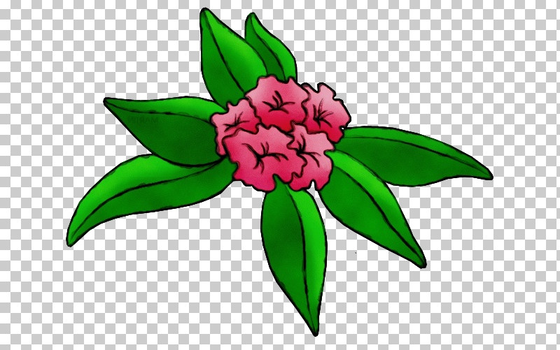 Floral Design PNG, Clipart, Cut Flowers, Flora, Floral Design, Flower, Herbaceous Plant Free PNG Download