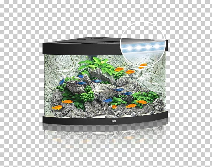 Aquarium Lighting Light-emitting Diode Aquarium Lighting PNG, Clipart, Aquarium, Aquarium Decor, Aquarium Filters, Aquarium Lighting, Aquariums Free PNG Download