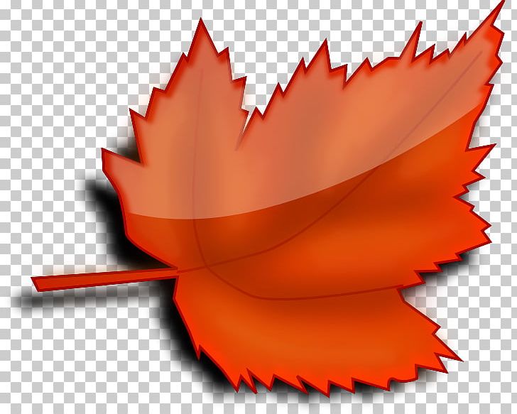 Autumn Leaf Color PNG, Clipart, Autumn, Autumn Leaf Color, Document, Flower, Green Free PNG Download