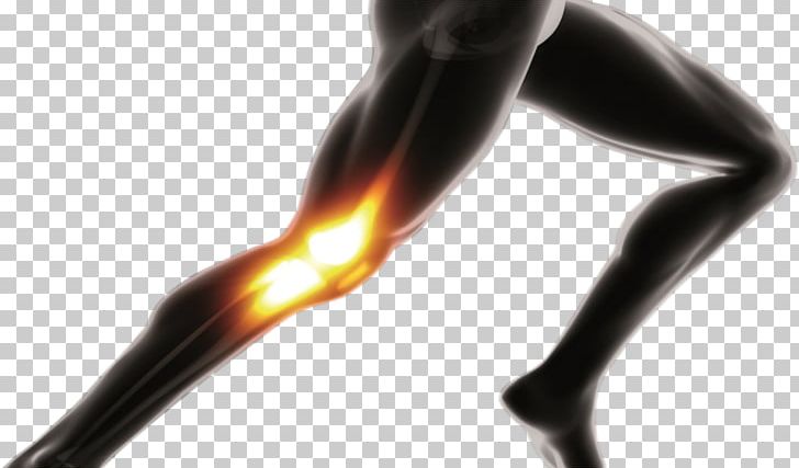 Knee PNG, Clipart, Human Leg, Joint, Knee, Muscle Free PNG Download