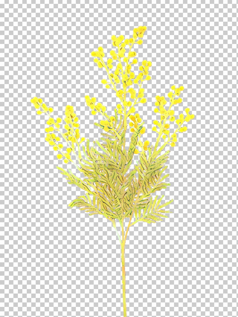 Yellow Plant Leaf Flower Grass PNG, Clipart, Aquarium Decor, Branch, Flower, Grass, Leaf Free PNG Download