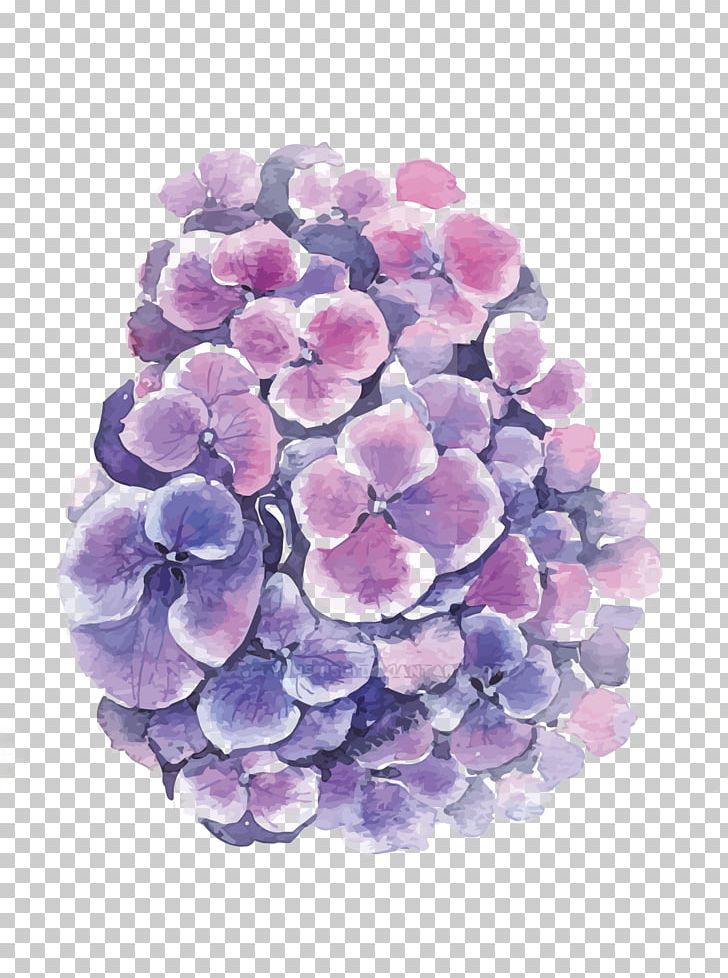Hydrangea Flower PNG, Clipart, Cartoon, Color, Cornales, Encapsulated Postscript, Floral Design Free PNG Download