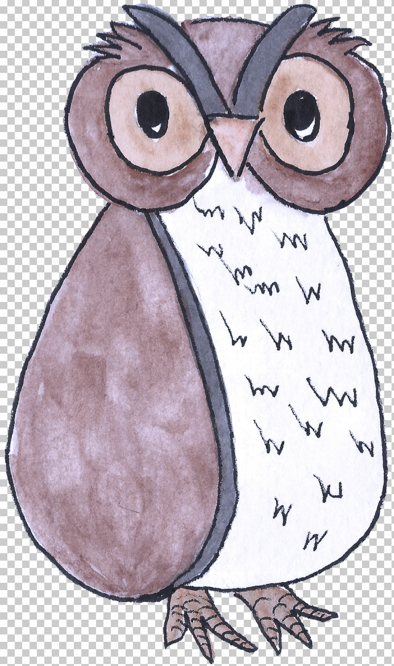 Bird Owl Cartoon Eastern Screech Owl Flightless Bird PNG, Clipart, Bird, Bird Of Prey, Cartoon, Eastern Screech Owl, Flightless Bird Free PNG Download