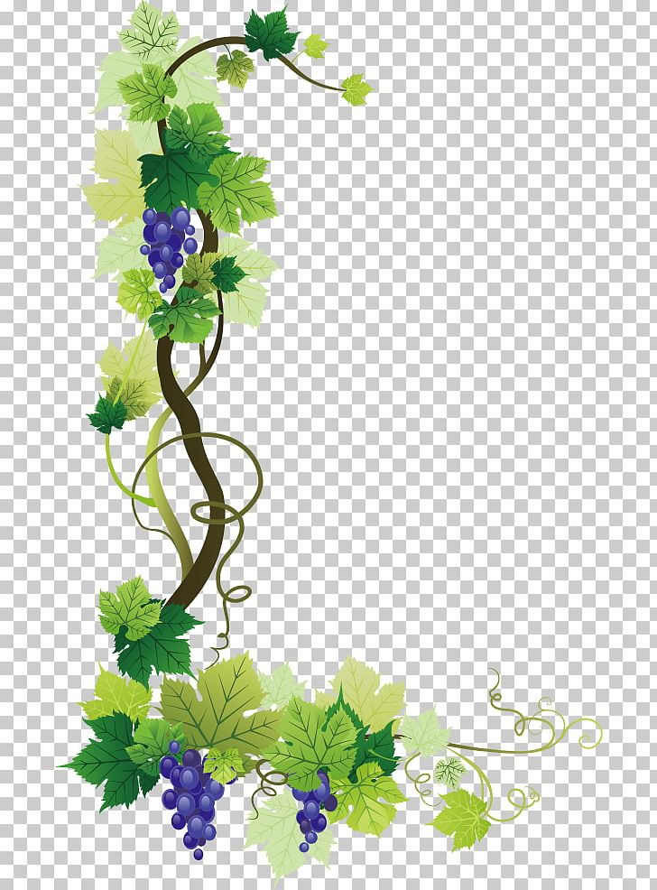 Common Grape Vine Wine Grape Leaves PNG, Clipart, Border, Branch, Encapsulated Postscript, Film Frame, Flora Free PNG Download
