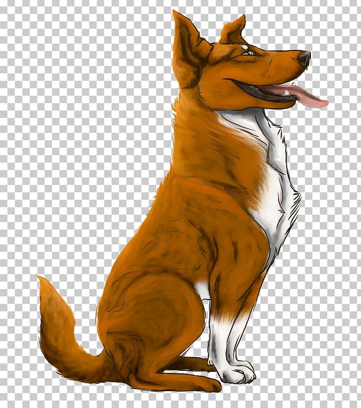 Dog Breed Red Fox Dhole Snout PNG, Clipart, Animals, Breed, Carnivoran, Dhole, Dog Free PNG Download