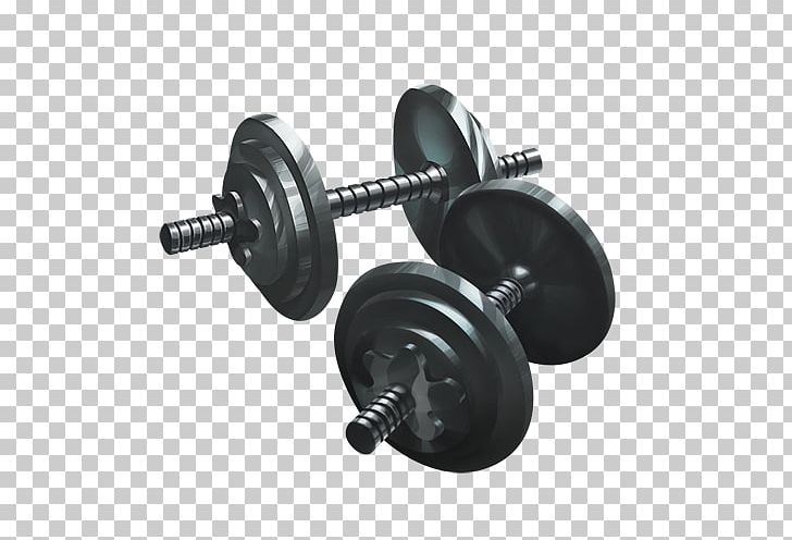 Exercise Equipment Weight Training Physical Fitness Fitness Centre PNG, Clipart, Bodybuilding, Citizen, Consumer, Cybex International, Exercise Free PNG Download
