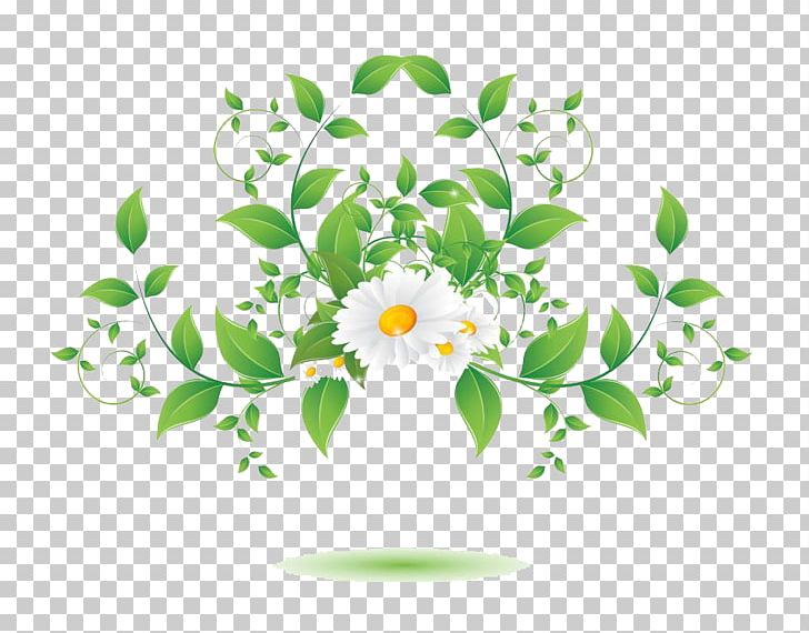 Flower Photography PNG, Clipart, Branch, Chamomile, Circle, Creative Flower, Decorative Free PNG Download