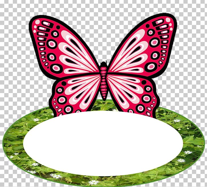 Monarch Butterfly PNG, Clipart, Brush Footed Butterfly, Butterflies And Moths, Butterfly, Butterfly Composition, Flower Free PNG Download