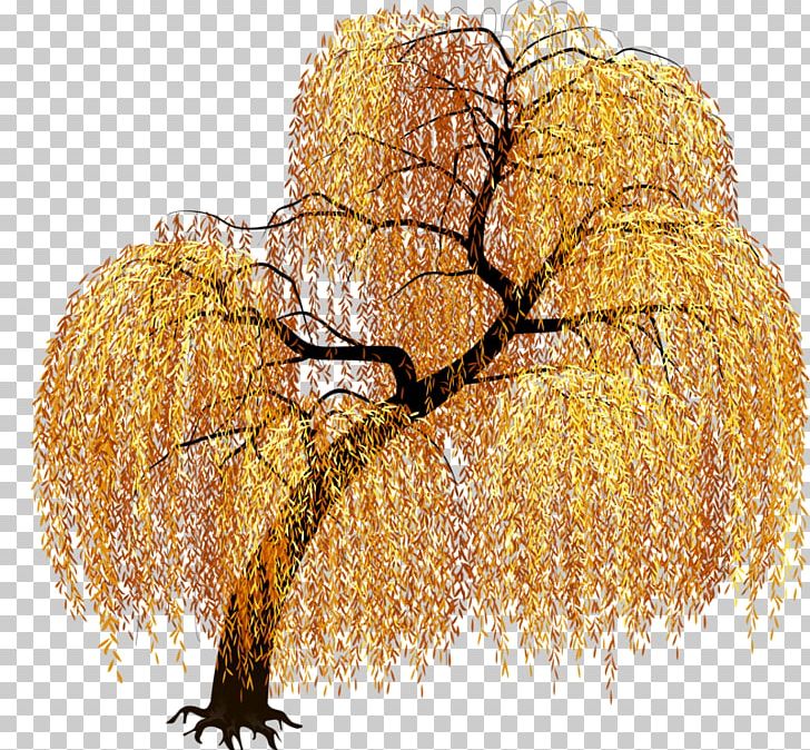 Tree Art PNG, Clipart, Agac, Arecaceae, Art, Branch, Commodity Free PNG Download