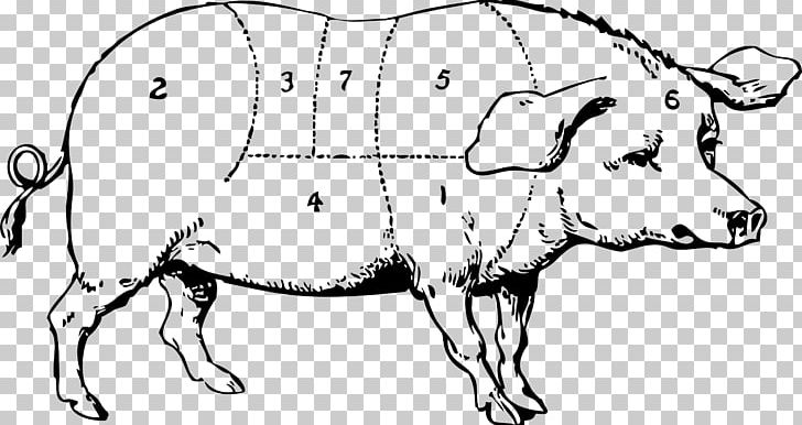 Vietnamese Pot-bellied Large White Pig Drawing PNG, Clipart, Carnivoran, Cartoon, Cow Goat Family, Dog Breed, Dog Like Mammal Free PNG Download
