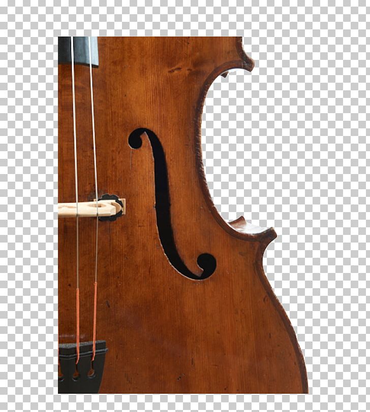 Bass Violin Double Bass Violone Viola Octobass PNG, Clipart, Acousticelectric Guitar, Acoustic Electric Guitar, Bass, Bass Guitar, Bass Violin Free PNG Download