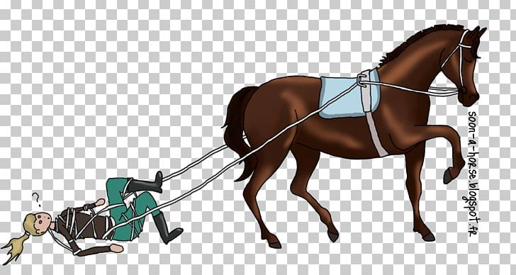 Horse English Riding Les Longues Rênes Bridle Rein PNG, Clipart, Animals, Bit, Boxs, Bridle, Chariot Free PNG Download