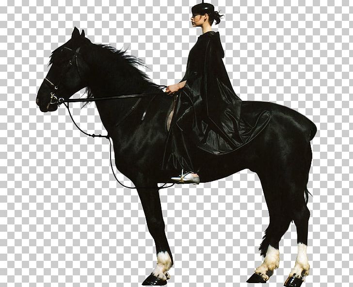 Horse Stallion Black And White Rein PNG, Clipart, Animals, Bit, Black And White, Bridle, Dressage Free PNG Download