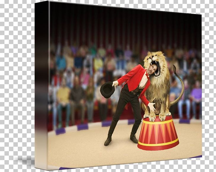 Lion Taming Tiger Entertainment Circus PNG, Clipart, Animal, Animals, Blond Ale, Circus, Darwin Awards Free PNG Download