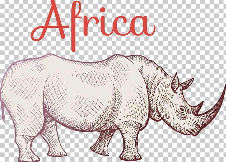 Rhinoceros Giraffe Hippopotamus African Elephant PNG, Clipart, Afr, Animal, Animals, Cartoon, Cartoon Animals Free PNG Download