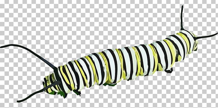 Butterfly Caterpillar Insect PNG, Clipart, Animal, Animals, Baby Crawling, Butterflies And Moths, Butterfly Free PNG Download