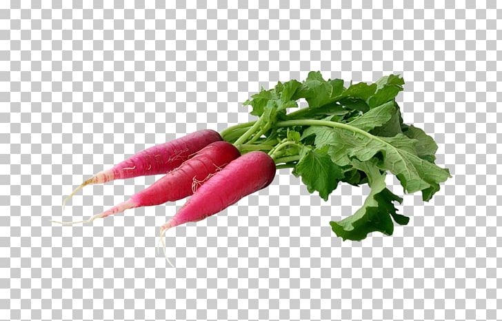 Daikon Leaf Vegetable Organic Food PNG, Clipart, Carrot, Chard, Daikon, Eating, Food Free PNG Download