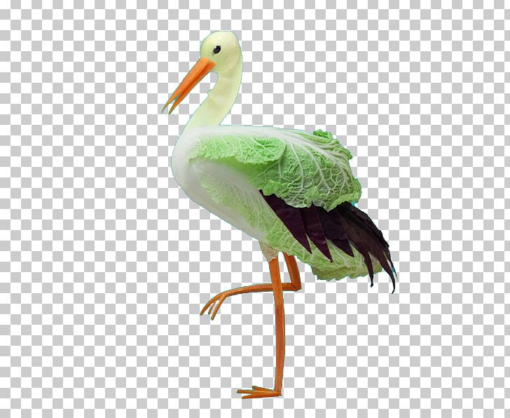 Visual Arts Graphic Design PNG, Clipart, Artist, Beak, Bird, Black Swan, Cabbage Free PNG Download