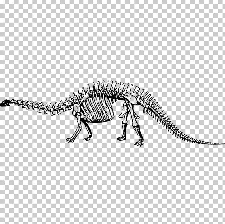 Dinosaur Museum Velociraptor Brontosaurus Apatosaurus Tyrannosaurus PNG, Clipart, Black And White, Bone, Brontosaurus, Cartoon Dinosaur, Cute Dinosaur Free PNG Download