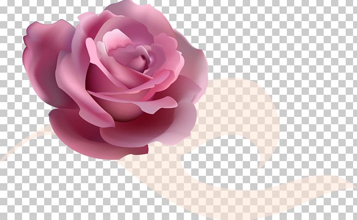 Garden Roses Gfycat Flower PNG, Clipart, Closeup, Cut Flowers, Drawing, Encapsulated Postscript, Flower Free PNG Download