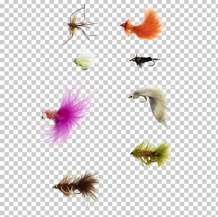 Insect Wing Feather Pollinator PNG, Clipart, Animals, Feather, Fly, Forelle, Insect Free PNG Download