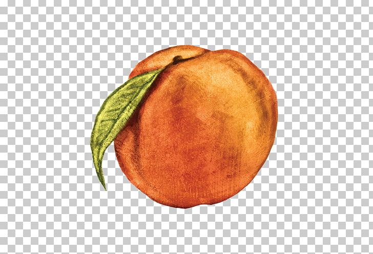 Orange S.A. PNG, Clipart, Food, Fruit, Orange Sa, Peach Free PNG Download