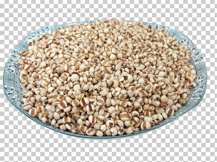 Adlay Congee Rice Five Grains Cereal PNG, Clipart, Adzuki Bean, Cereal, Clips, Flower, Flowers Free PNG Download