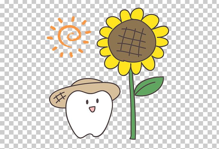 Common Sunflower Dentistry PNG, Clipart, Area, Artwork, Cartoon, Character, Common Sunflower Free PNG Download