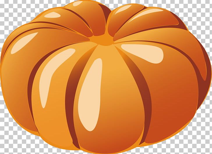 Jack-o-lantern Calabaza Pumpkin Winter Squash Gourd PNG, Clipart, Calabaza, Cartoon, Circle, Cucurbita, Decorative Elements Free PNG Download